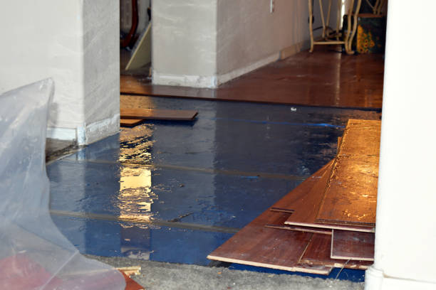 Professional Emergency Water Damage Restoration technician working in Lyons, KS